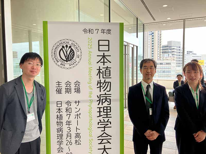 日本植物病理学会で口頭発表を行いました